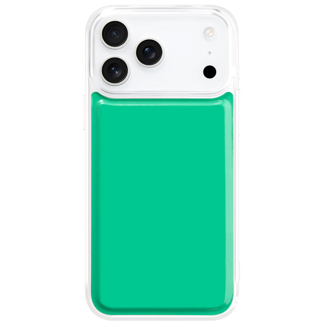 Jade Gloss Magnetic Case – Walli Cases