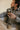 Brown Elite Walli Time Bundle